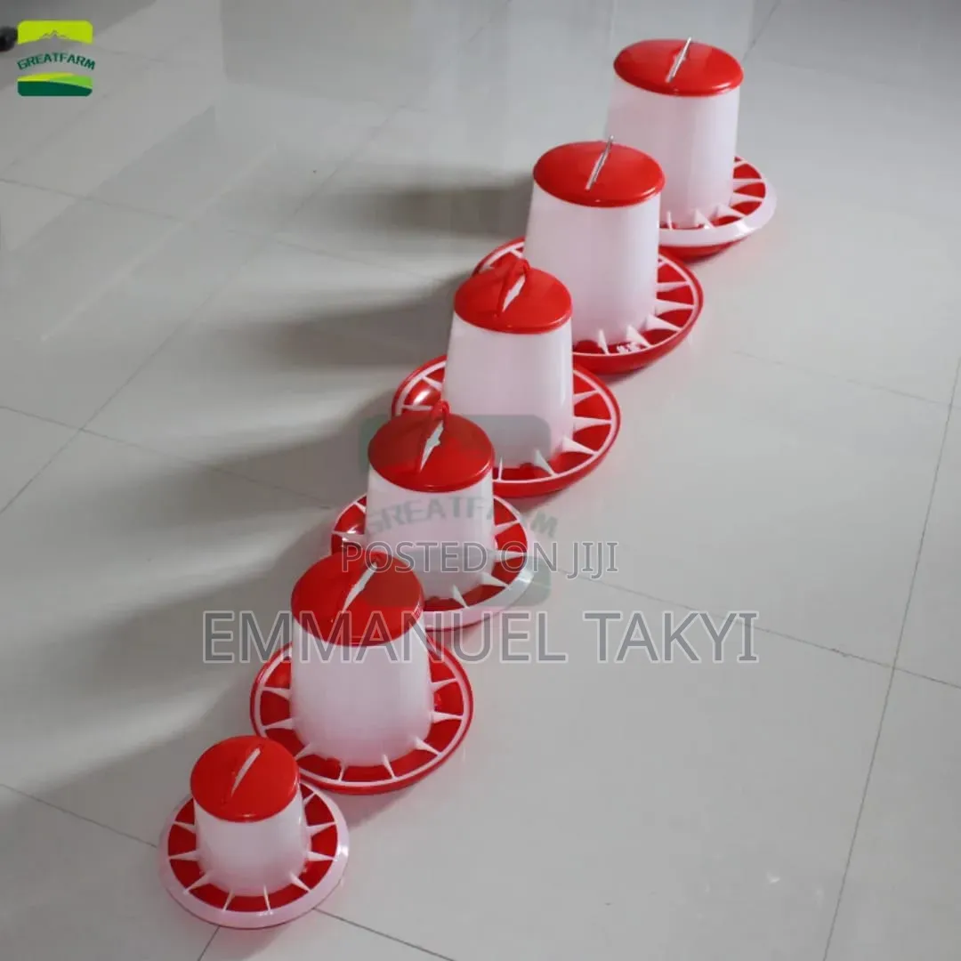 Chicken Feeders Trough