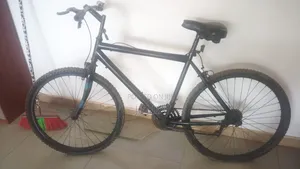 Unisex Bicycle