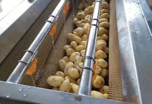 Electrical Brush Roller Potato Vegetable Washing Peeling Machine