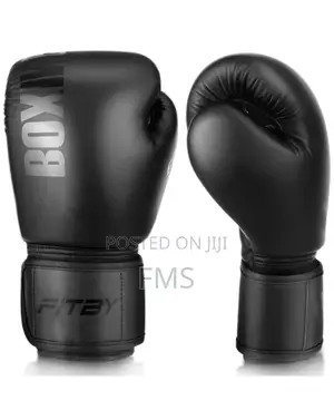 FITBY Professional Boxing Gloves (14 Oz)