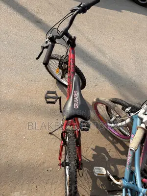Size 20 Bicycle for Kids