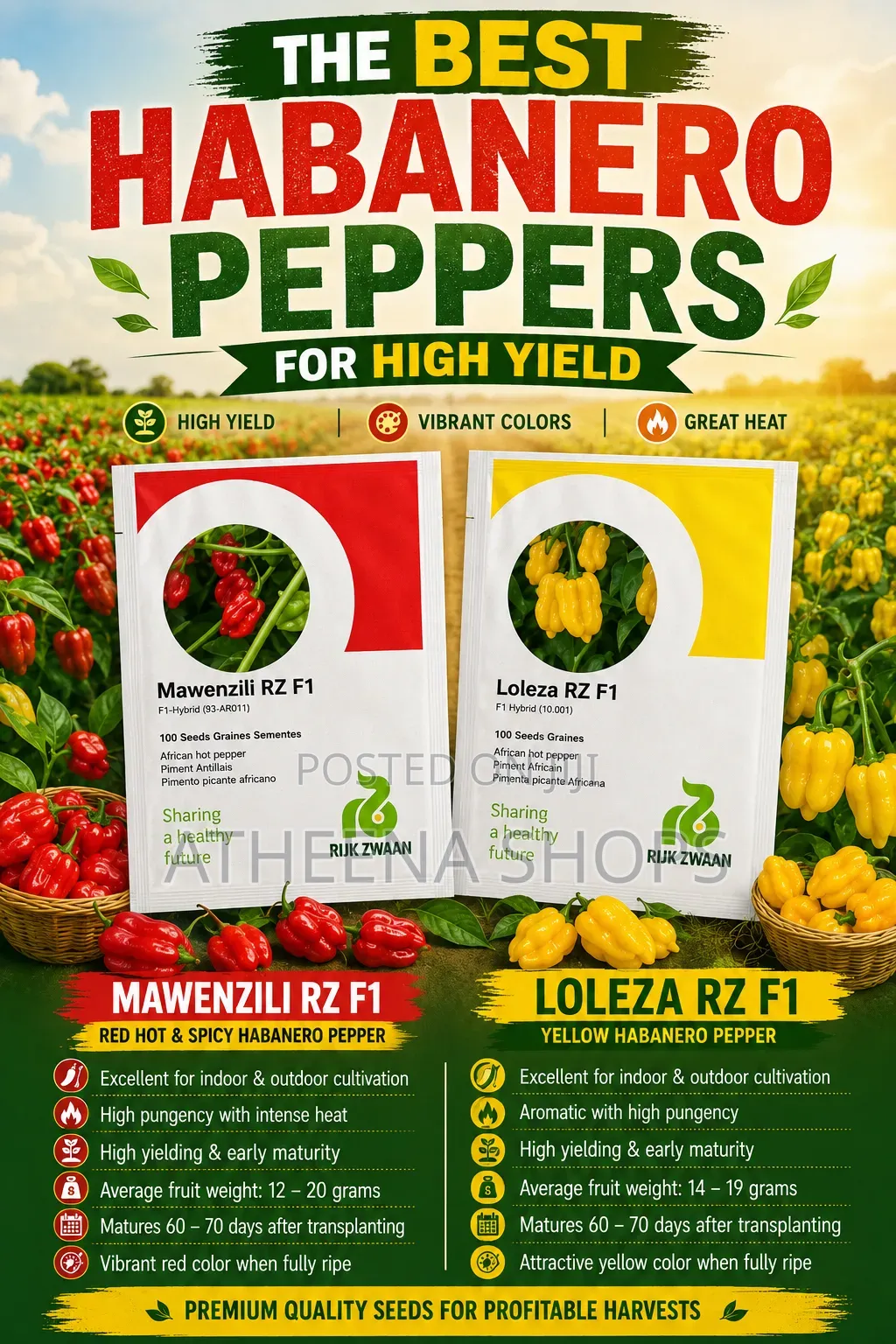 Mawenzili and Loleza Habanero Seeds