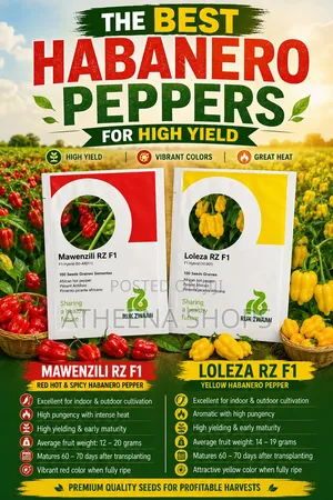 Mawenzili and Loleza Habanero Seeds