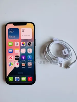 Apple iPhone 12 Pro Max 256 GB Blue
