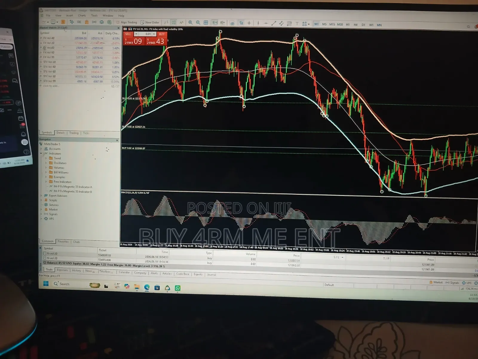 Portable Monitor