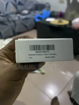 Samsung Galaxy Buds2 Pro Charging Case Replacement