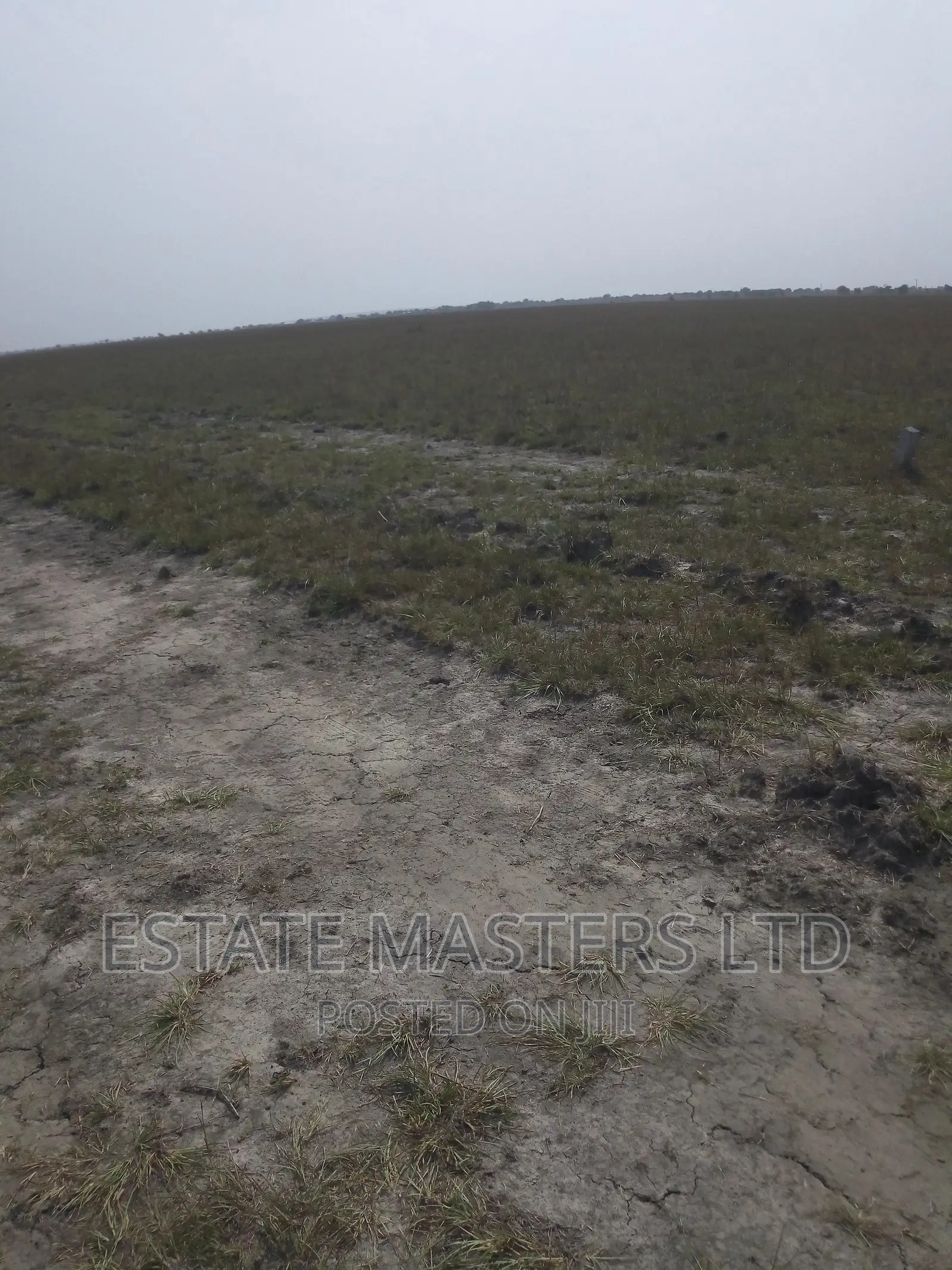 New City Land At Tsopoli