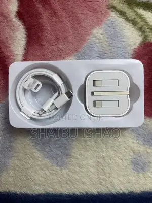 iPhone Charger