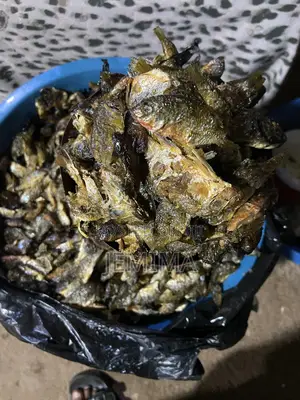 Fried Small Tilapia