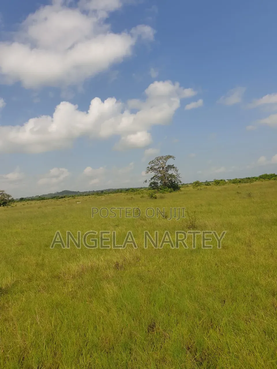 5bdrm House in Transacco Estates, Accra Metropolitan for sale