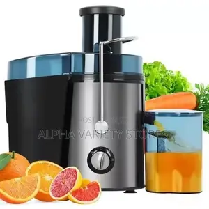 Electric Juicer