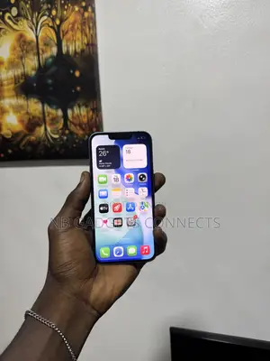 Apple iPhone 13 128 GB Blue