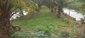 Land for Sales, Rentals and Fish Ponds