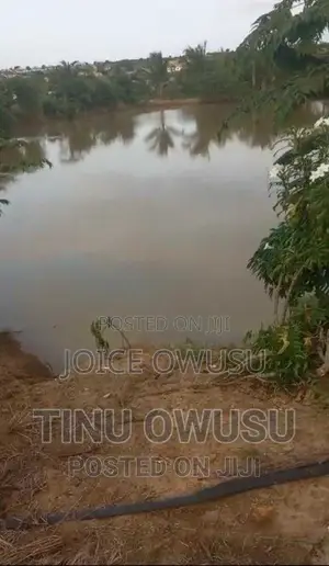 Land for Sales, Rentals and Fish Ponds