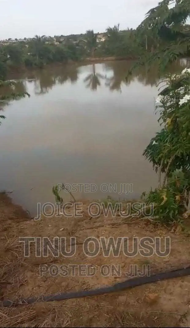 Land for Sales, Rentals and Fish Ponds