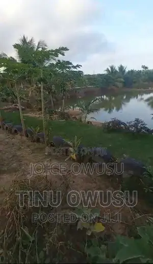 Land for Sales, Rentals and Fish Ponds