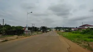 Volta Region, Ho (Ho - Dzodze Road) _ 2 Acres Commercial Land