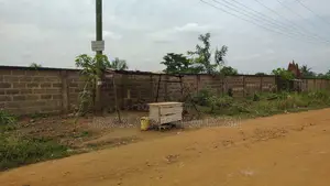 Volta Region, Ho (Ho - Dzodze Road) _ 2 Acres Commercial Land