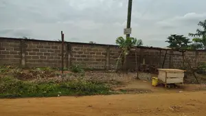 Volta Region, Ho (Ho - Dzodze Road) _ 2 Acres Commercial Land