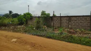 Volta Region, Ho (Ho - Dzodze Road) _ 2 Acres Commercial Land