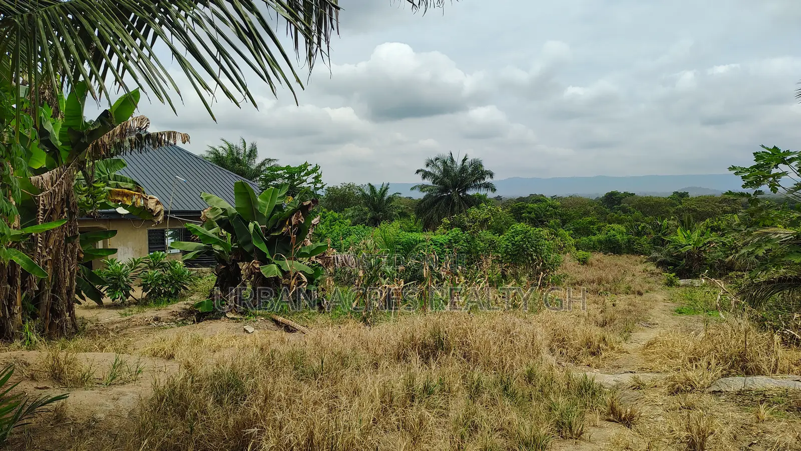VOLTA REGION, HO (LOKOE-GREEN VALLEY) _ 6 Plots Building Land