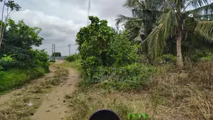 VOLTA REGION, HO (LOKOE-GREEN VALLEY) _ 6 Plots Building Land