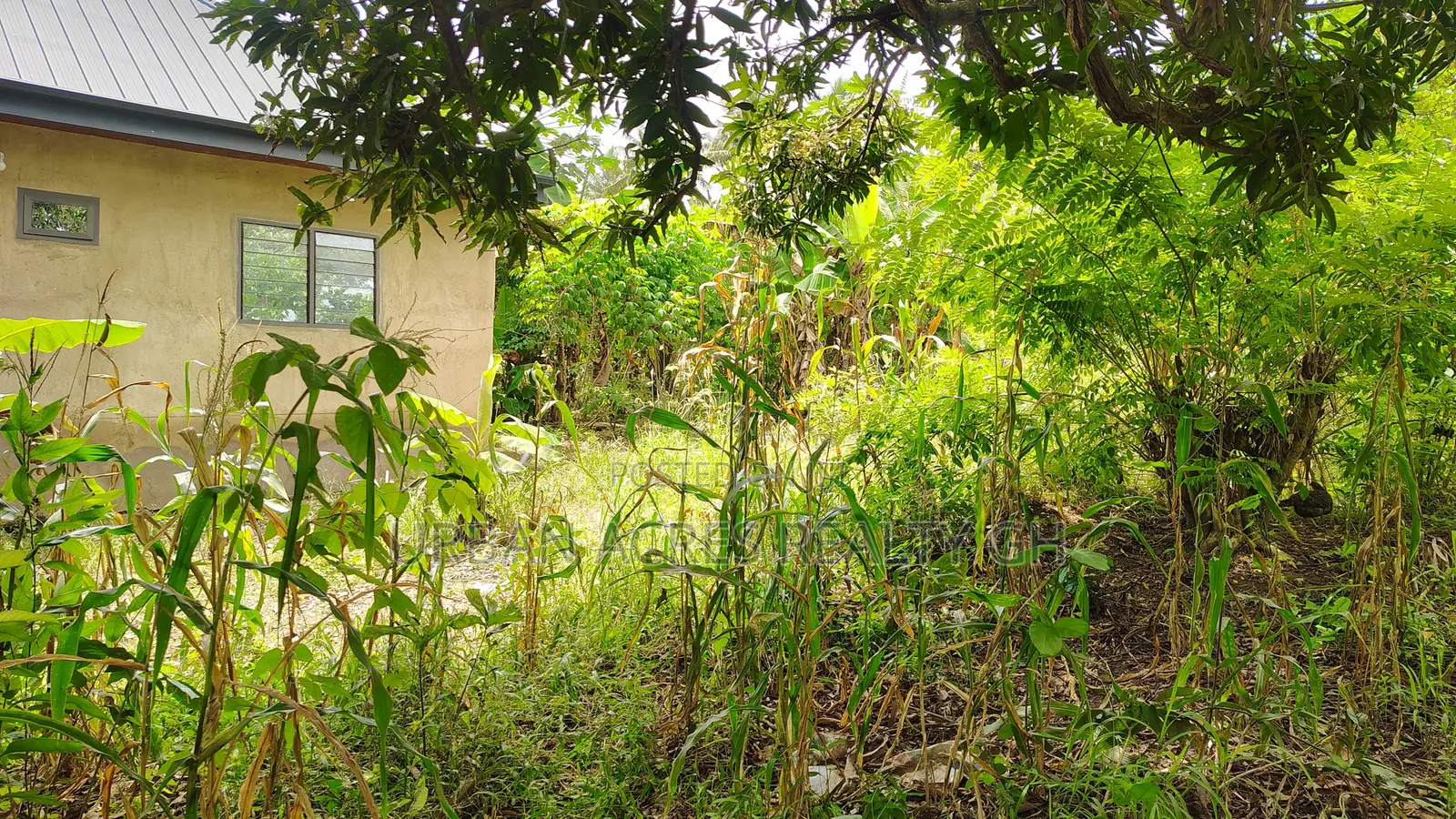 VOLTA REGION, HO (LOKOE-GREEN VALLEY) _ 6 Plots Building Land