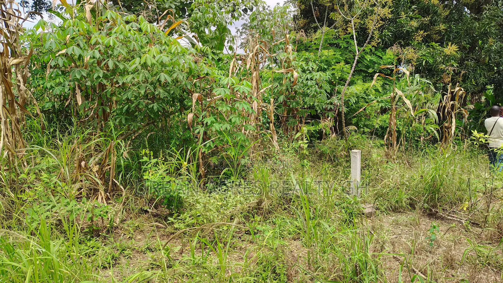 VOLTA REGION, HO (LOKOE-GREEN VALLEY) _ 6 Plots Building Land