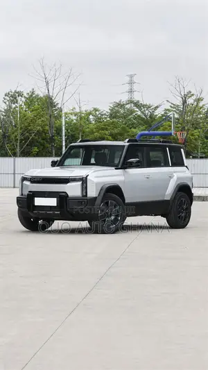 Chery Fulwin 2 2019 Gray