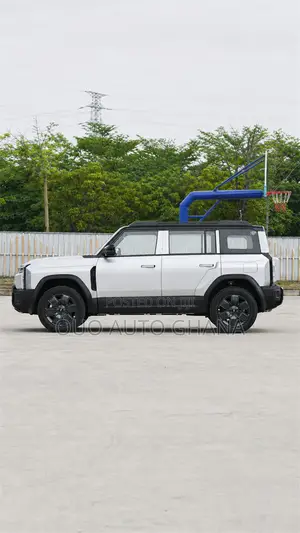 Chery Fulwin 2 2019 Gray