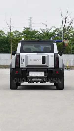 Chery Fulwin 2 2019 Gray