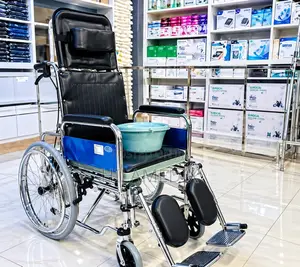 Executive Commode Wheelchair With Backrest