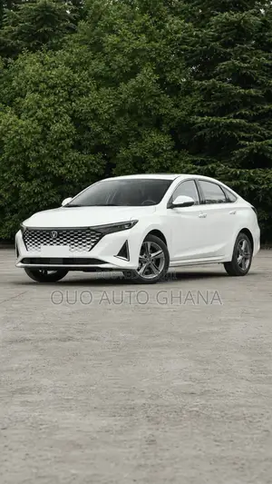 Changan Raeton 2020 White