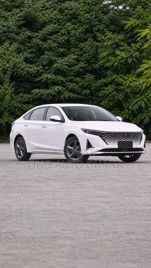 Changan Raeton 2020 White