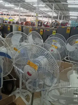 Remote Control Fans