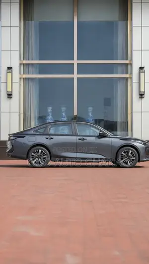Changan Raeton 2020 Gray