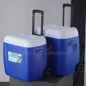 2in1 Ice Cooler