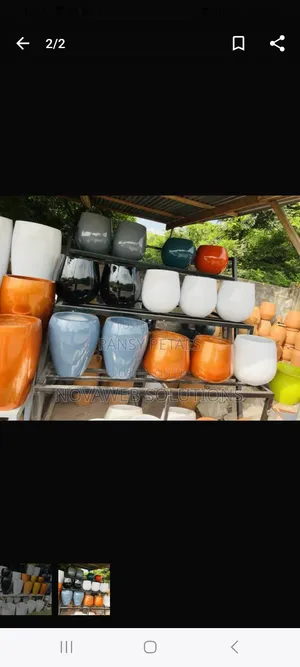 Flower Pot