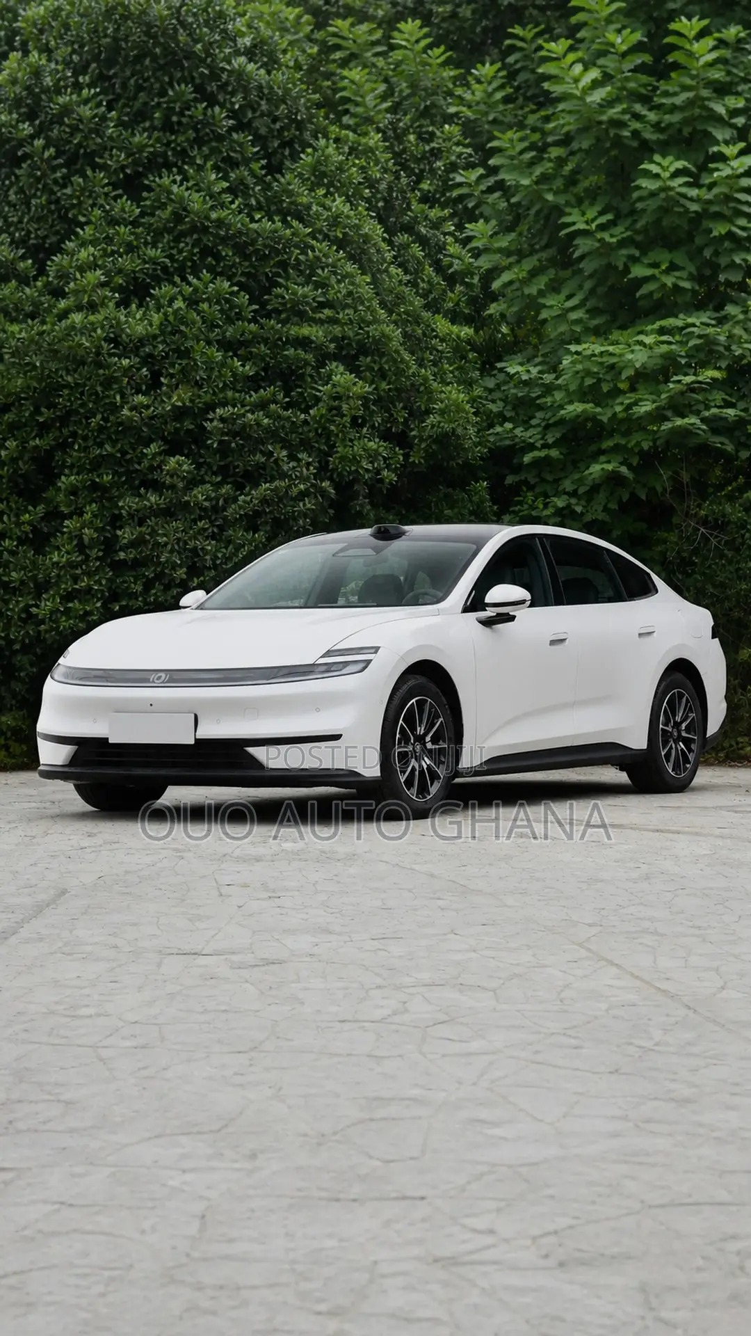 Changan Raeton 2020 White