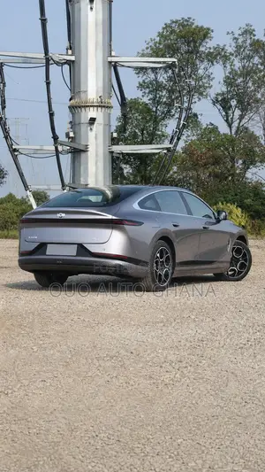 Changan Raeton 2020 Gray