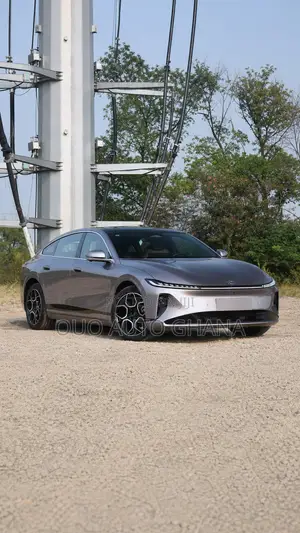 Changan Raeton 2020 Gray