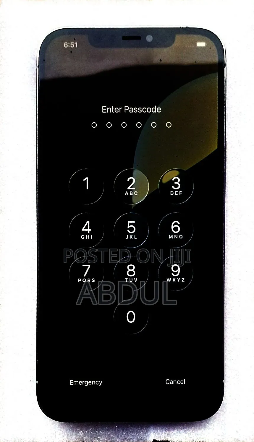 Apple iPhone 12 Pro Max 256 GB Silver