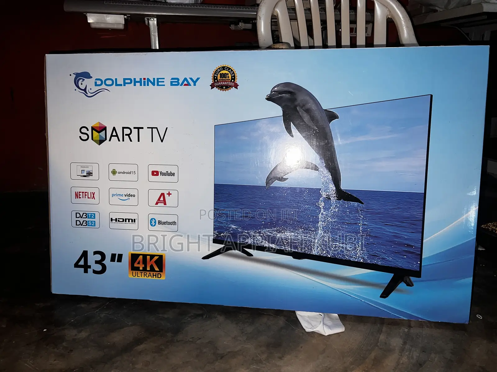 Dolphine Bay TV
