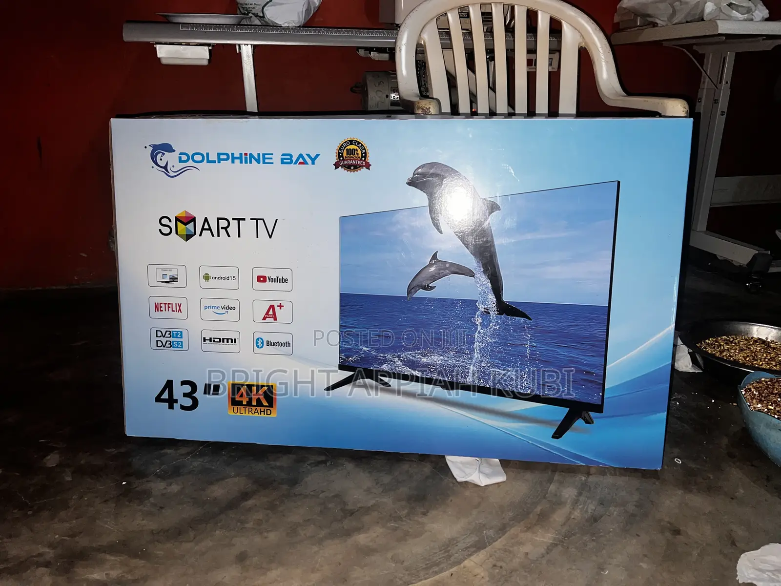 Dolphine Bay TV