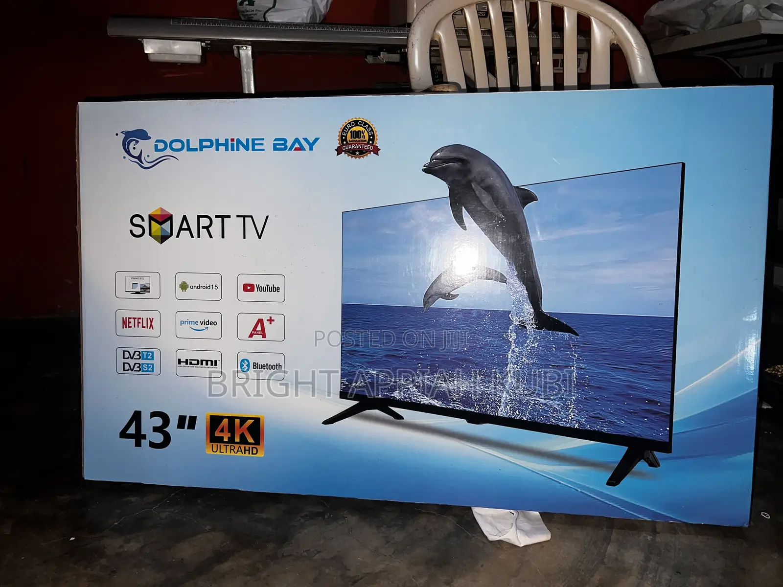 Dolphine Bay TV