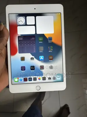 Apple iPad mini 4 16 GB Gray