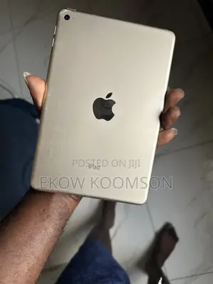 Apple iPad mini 4 16 GB Gray