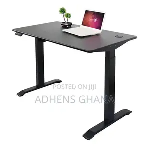 48" X 24" Inches Electric Height Adjustable Desk Gaming