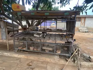 Rabbit Cage