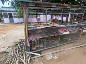 Rabbit Cage